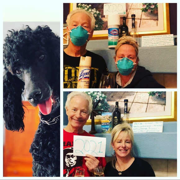 🌻Meet your Posher, Sammy - Picture 12 of 16